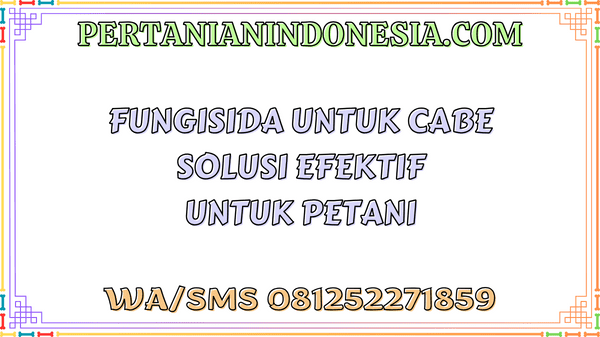 Fungisida Untuk Cabe Solusi Efektif Untuk Petani